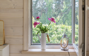 control de plagas en Valencia